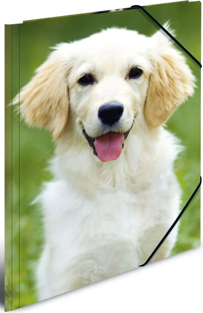 HERMA Sammelmappe A3 Cani - L'Archivio Creativo in Plastica Robusta