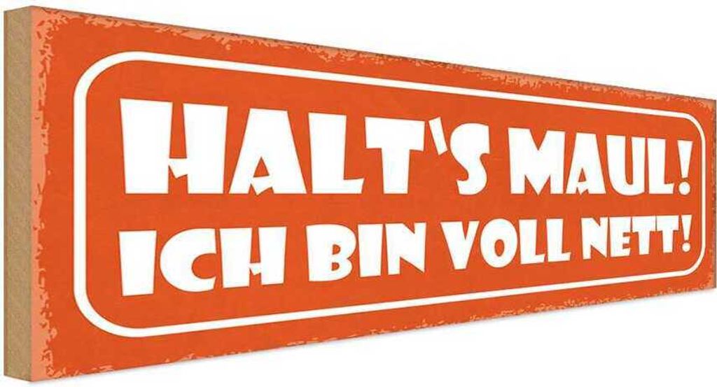 vianmo Holzschild 10x27 cm halt`s Maul ich bin voll nett Dekoration