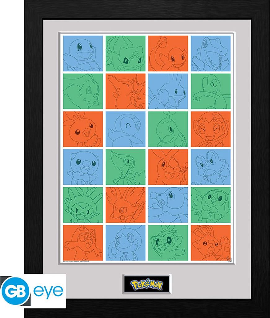 POKEMON - Framed print First Partner Grid