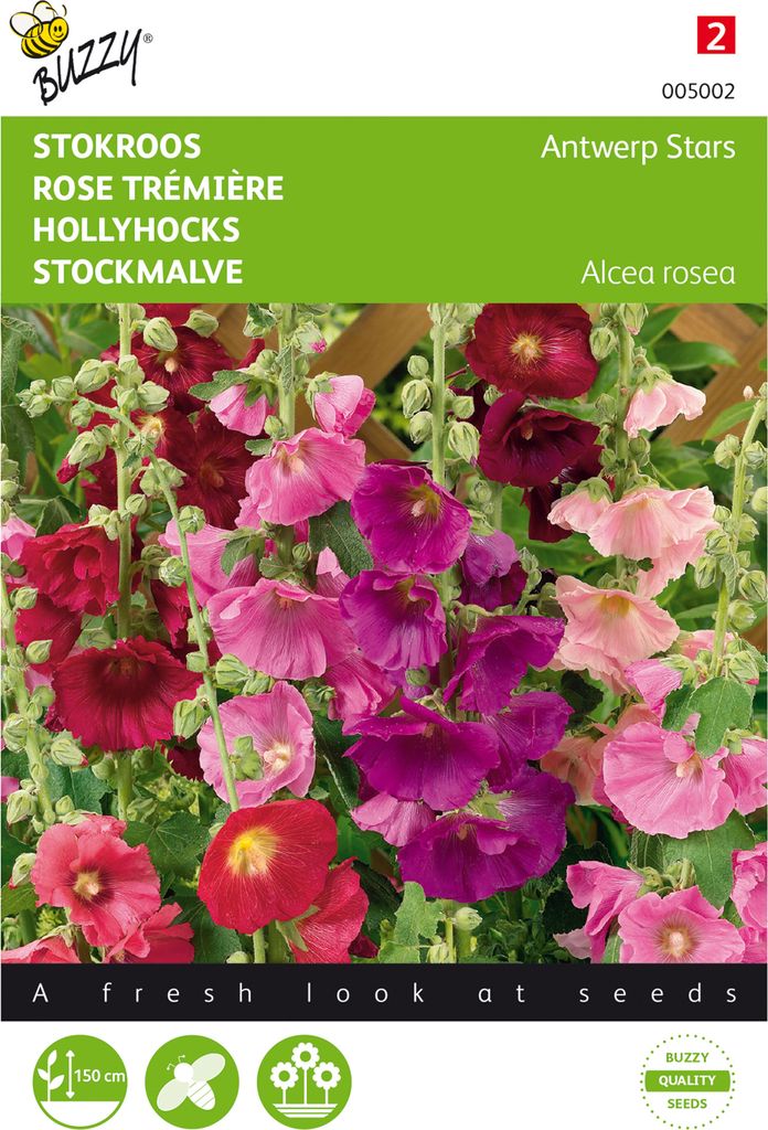 Stockrose Stars Mischung | Stockrosensamen von Buzzy Seeds