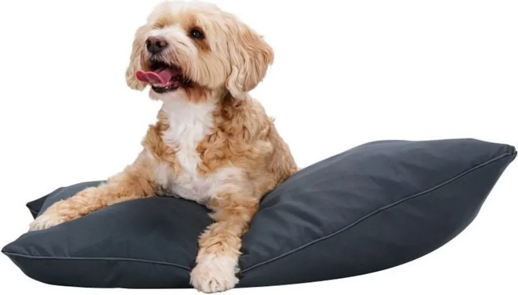 Coussin pour Chien Maxxpro 60x80 - Lit Déhoussable Polyester Gris Foncé