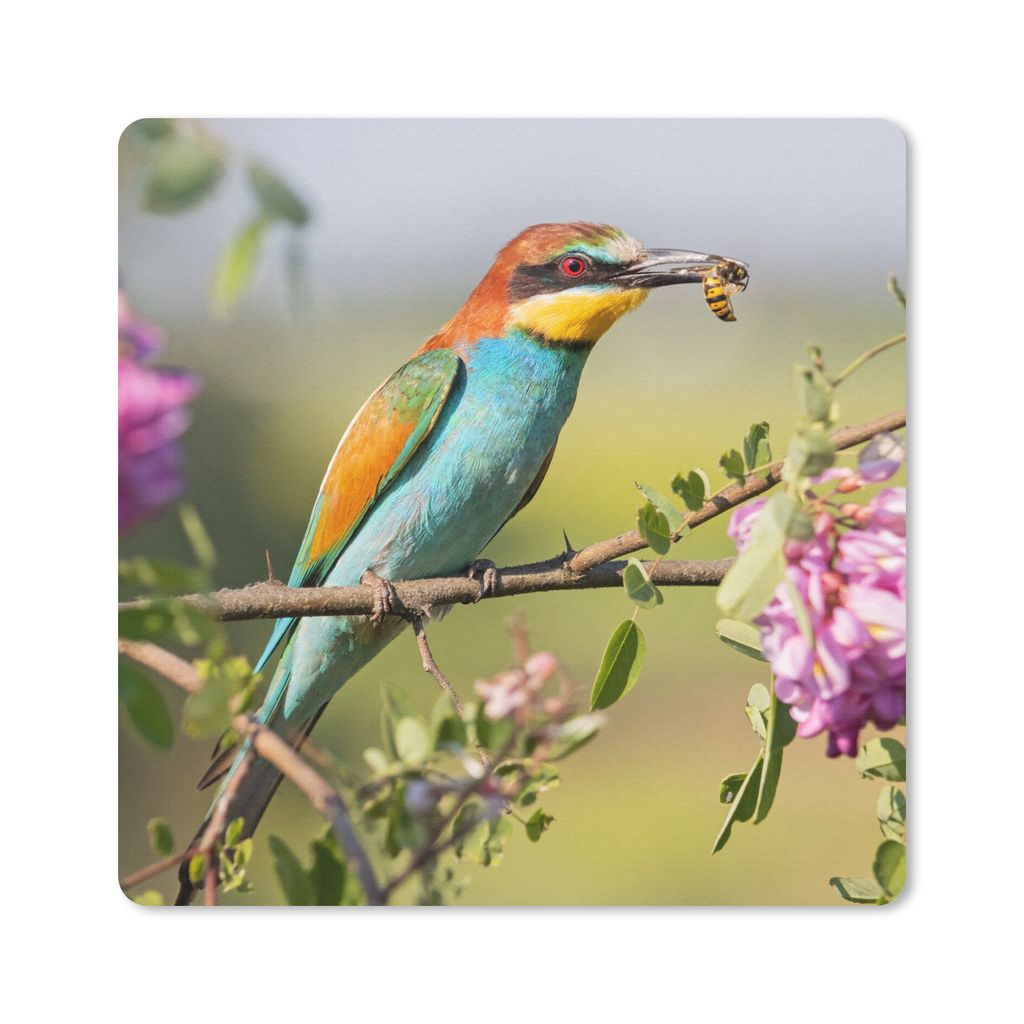 MuchoWow Mauspad Mousepad Vogel - Bienenfresser - Blumen 20x20 cm - Mousepads - Maus Mat - Pad - Mausunterlage - Desk Mat - Bureauartikeln