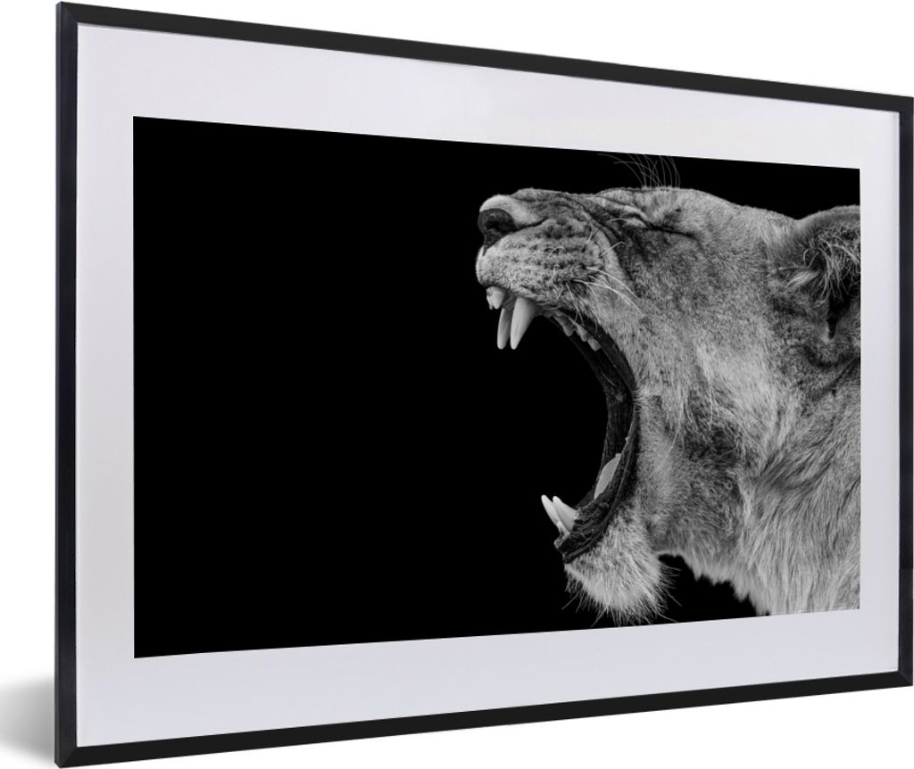 MuchoWow® Gerahmtes Poster Tiere - Löwe - Schwarz - Weiß - Produktbild 