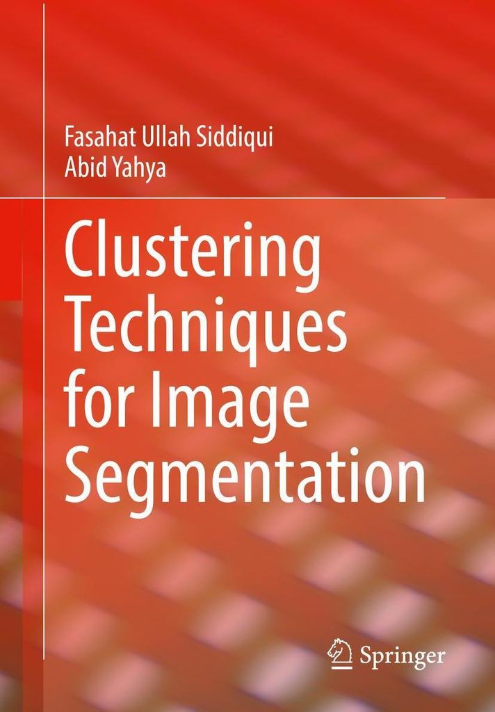 Clustering Techniques for Image Segmentation