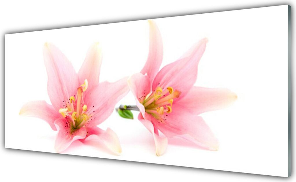 Küchenrückwand aus Glas 125x50cm Spritzschutz Blumen Pflanzen