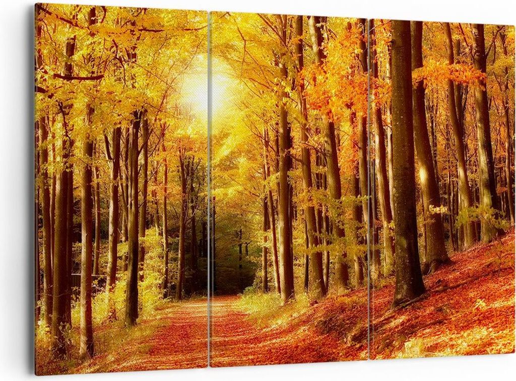 Bild auf Leinwand - Leinwandbild - Pfad Blätter Wald - 165x110cm - Wand Bild - Wanddeko - Leinwanddruck - Bilder - Kunstdruck - Wanddekoration - L...
