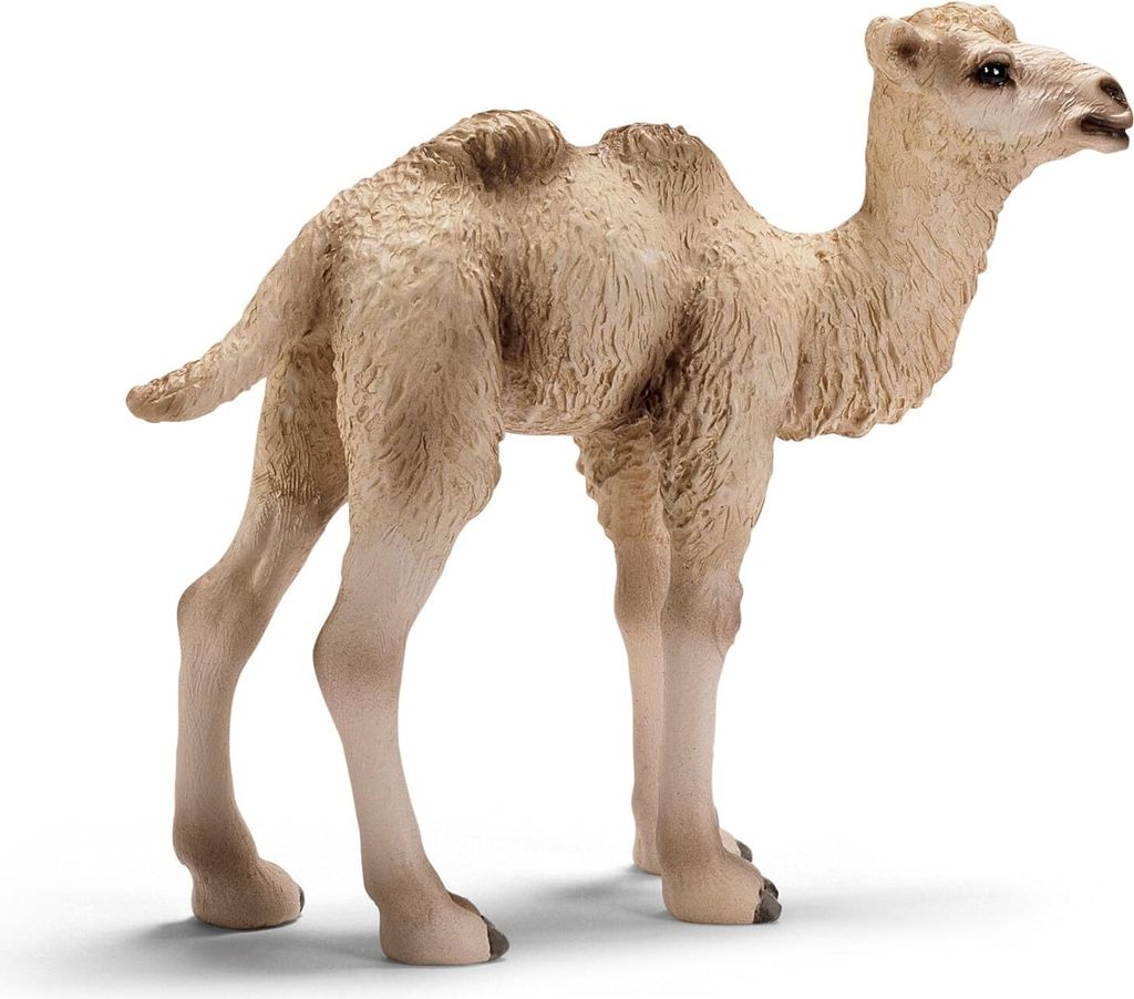 Schleich 14602 Trampeltier Fohlen