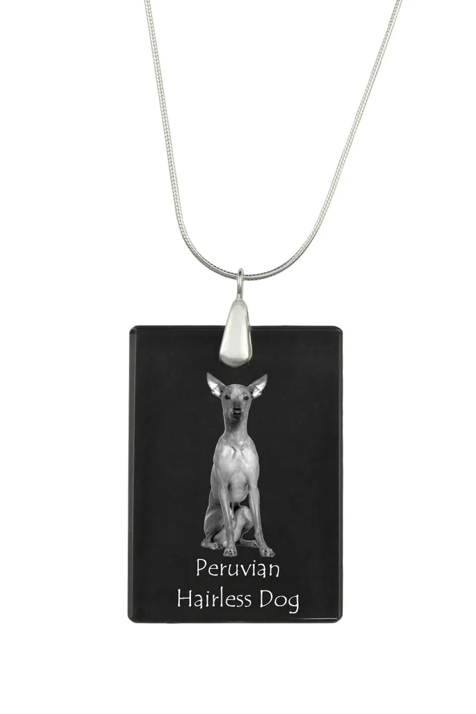Collana Foto Cane Personalizzata Peruviano Nudo Cristallo Art-Dog