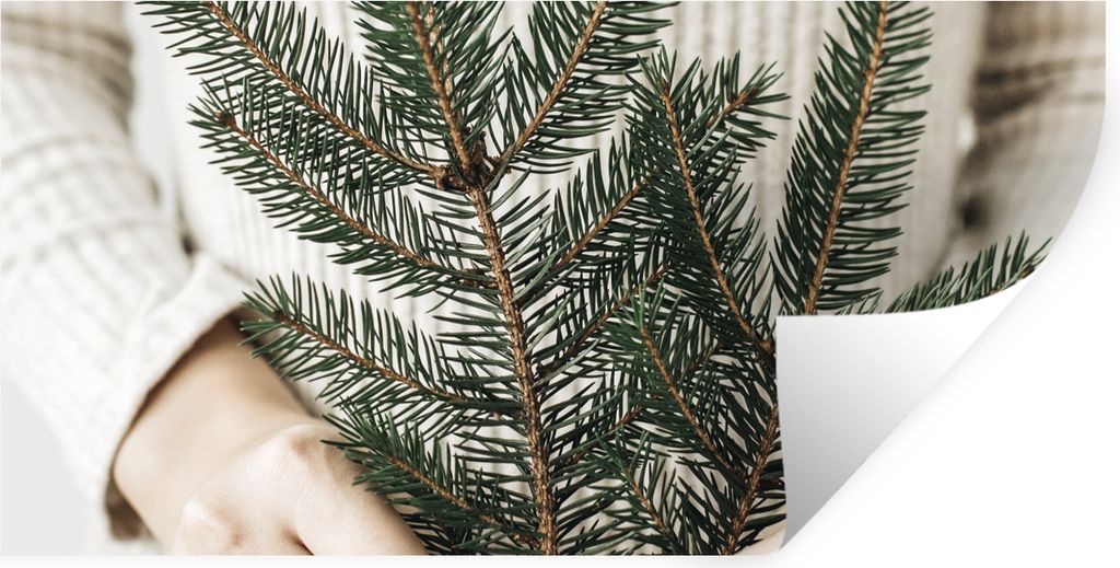 MuchoWow Wandtattoo Wandsticker Wandaufkleber Äste - Nadelbaum - Pullover 160x80 cm Selbstklebend und Repositionierbar - Sticker - Dekorfolie