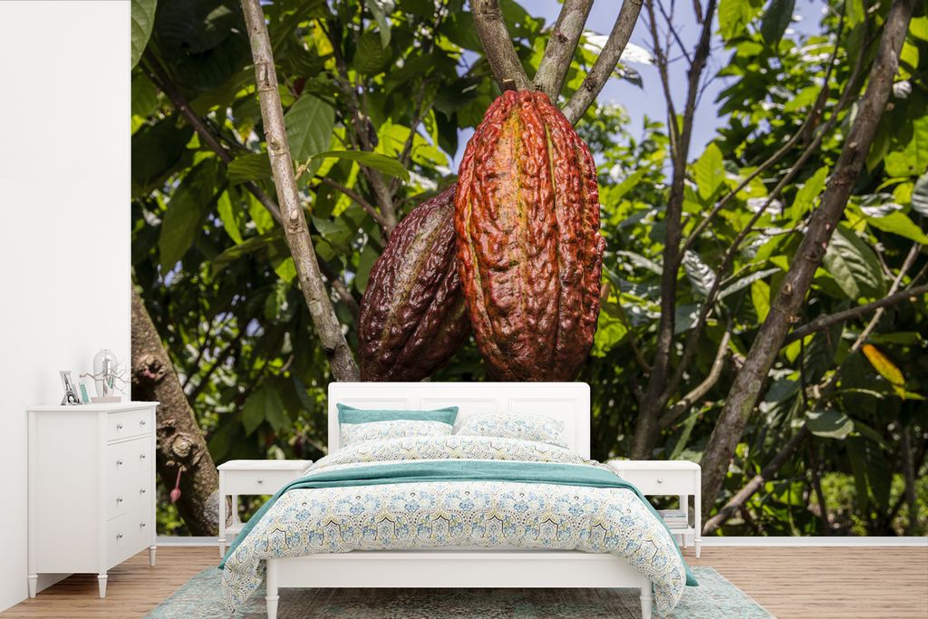 MuchoWow Fototapete für Wohnzimmer oder Schlafzimmer Wandtapete Vinyl Motivtapete Tropische Farben der Schotenhaut um die Kakaobohnen - 420x280 ...