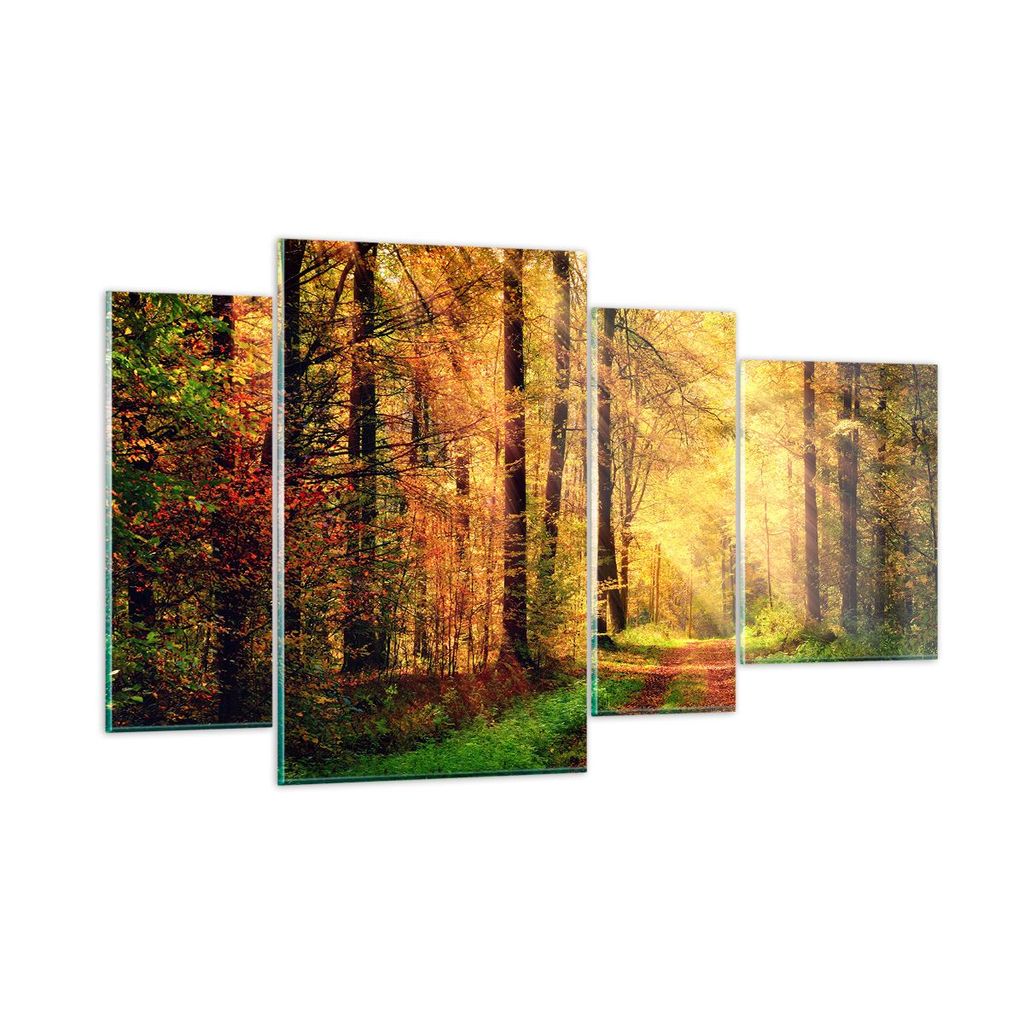 Bilder auf glas - Wald Baum Natur - 120x70cm - Glasbilder - Wandbilder - Kunstdruck - zum Aufhängen bereit - Wanddekoration aus Glas - Glas Bilder...