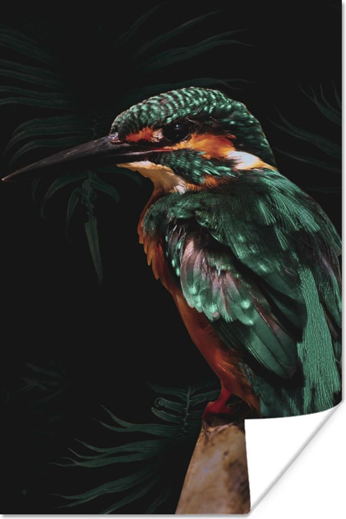 MuchoWow Poster Eisvogel - Zweig - Bunt 40x60 cm - Plakate für die Wand - Poster Babyzimmer