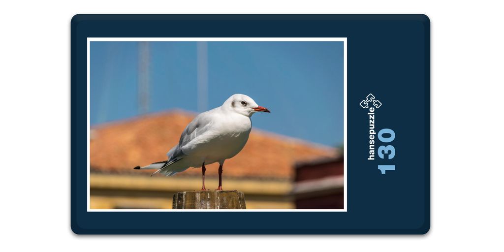hansepuzzle 17938 - Möwe Puzzle, 130 Teile, Tierwelt, 28,7 x 20,0cm mit hochwertiger Aufbewahrung, Kartonbox und wiederverschließbarem Beutel