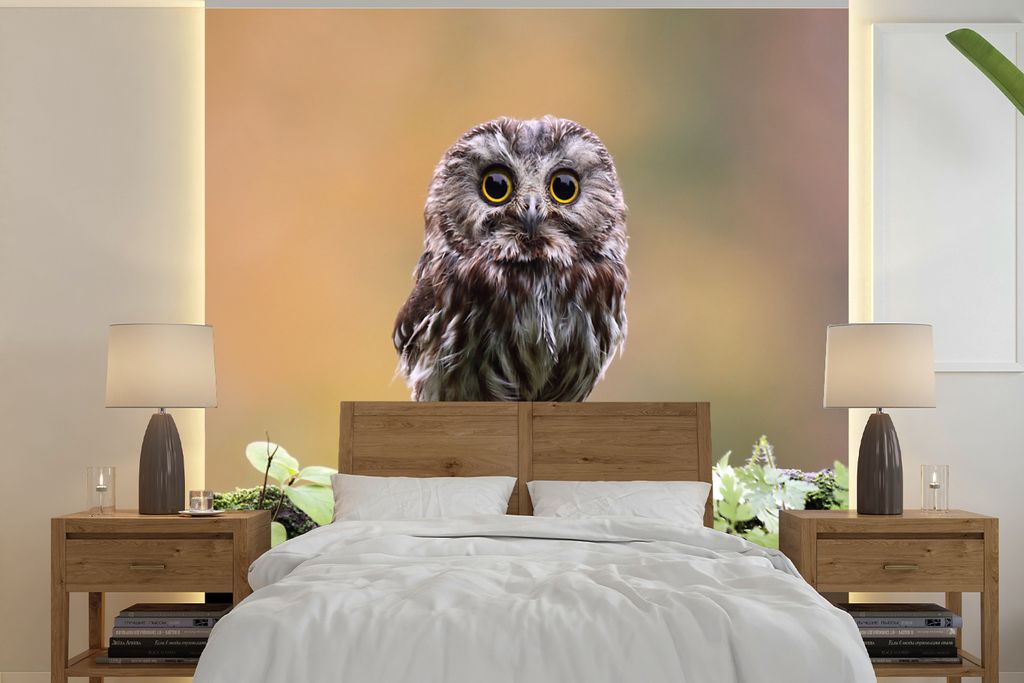 MuchoWow Fototapete für Wohnzimmer oder Schlafzimmer Wandtapete Vinyl Motivtapete Steinkauz - 220x220 cm - Tapeten