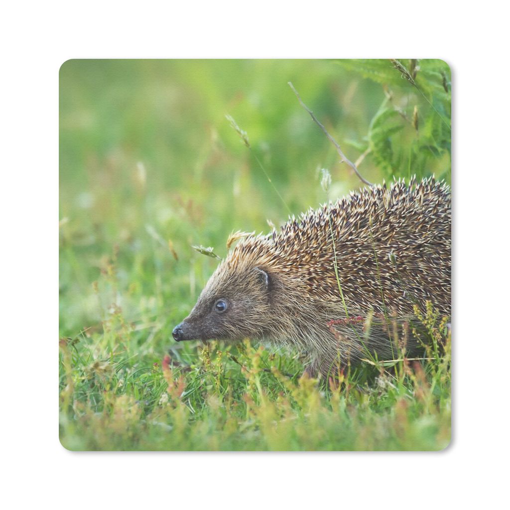 MuchoWow Mauspad Mousepad Igel - Gras - Braun 20x20 cm - Mousepads - Maus Mat - Pad - Mausunterlage - Desk Mat - Bureauartikeln