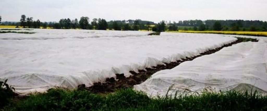 Gartenvlies Schutzvlies 3,2 x 100m Pflanzvlies zur Produktbild 5