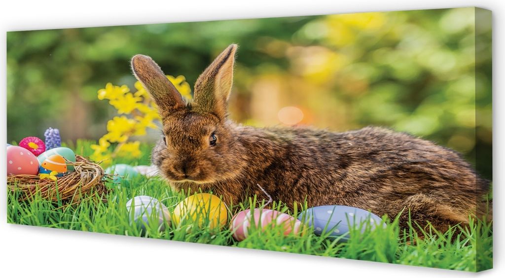 Leinwandbild 125x50 Wandkunst Kaninchen Eier Wiese