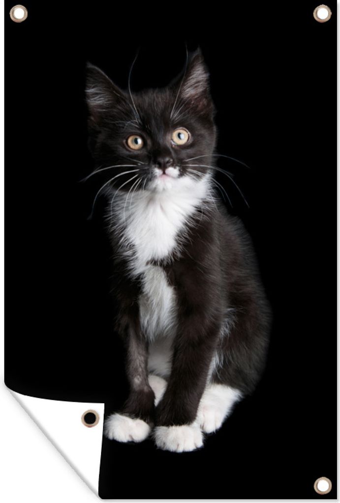 MuchoWow 40x60 cm Outdoor-Poster Gartendeko Sichtschutz Garten Poster für den Garten Schwarze und weiße Katze auf schwarzem Hintergrund