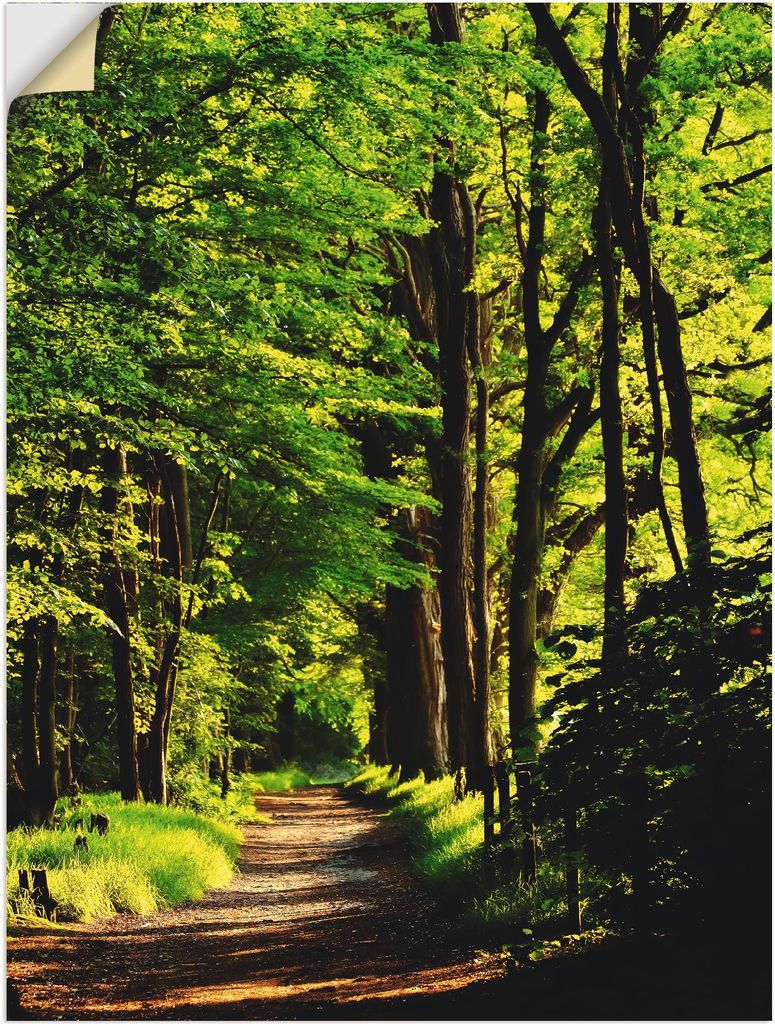 ARTland Wandbild, selbstklebend Weg im Wald Größe: 45x60 cm