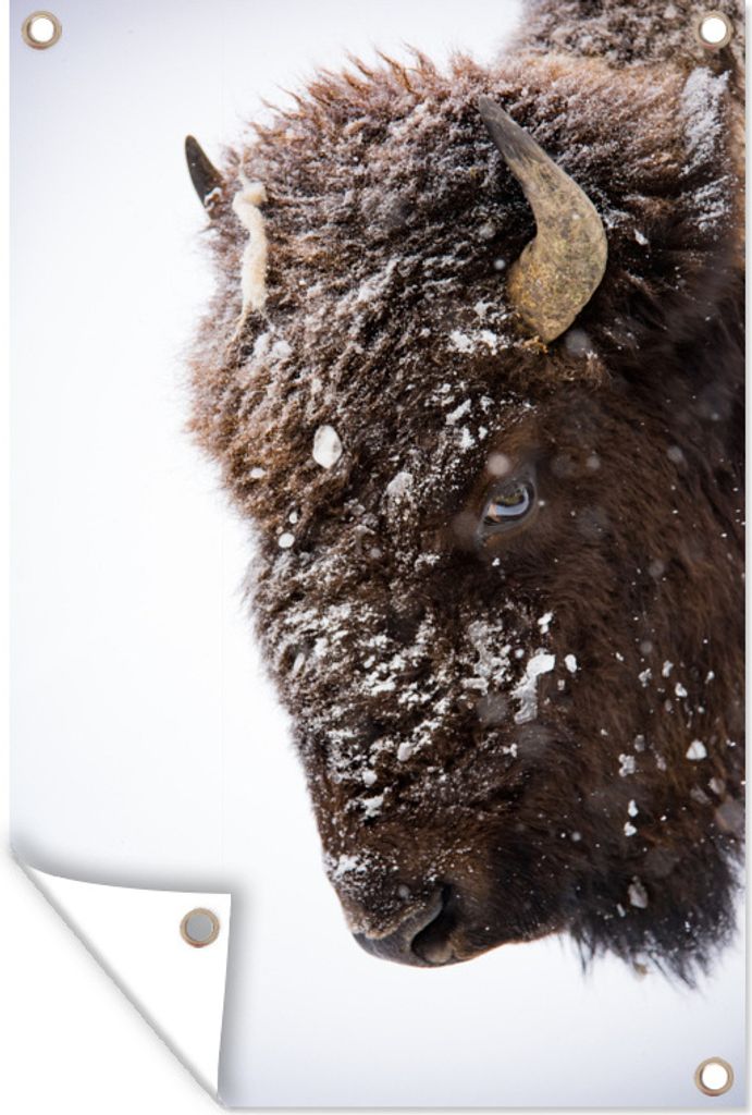MuchoWow 60x90 cm Outdoor-Poster Gartendeko Sichtschutz Garten Poster für den Garten Bison - Horn - Schneeflocke