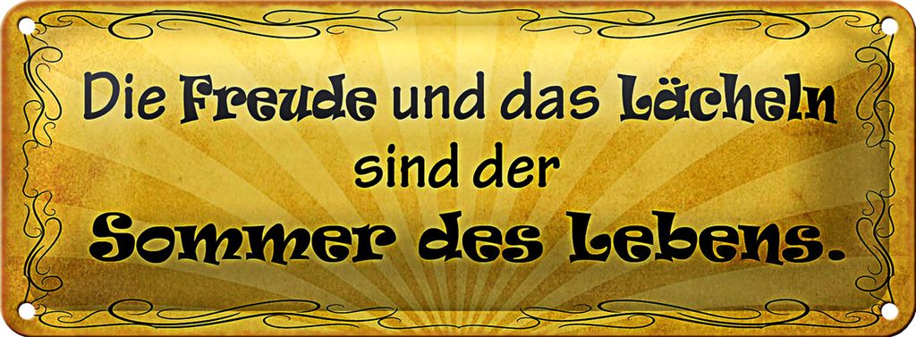Blechschild Spruch 27x10cm Freude Lächeln Sommer des Lebens Dekoration