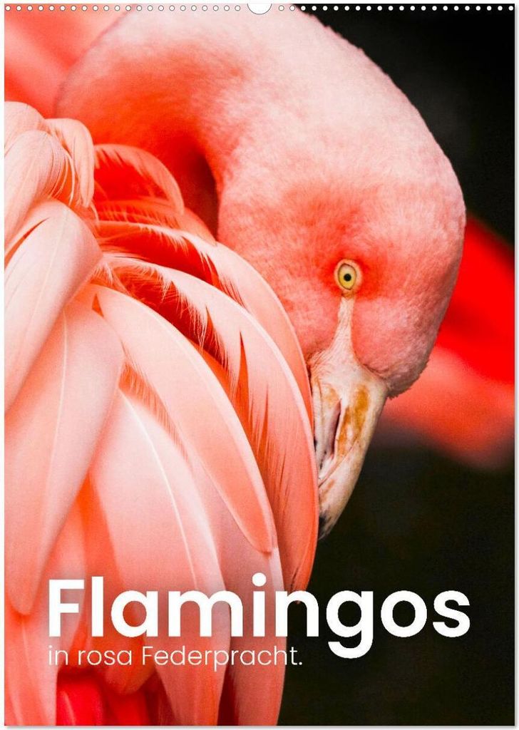Flamingos in rosa Federpracht. (Wandkalender 2026 DIN A2 hoch), CALVENDO Monatskalender