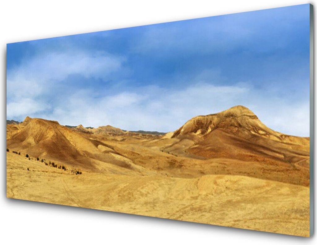 Küchenrückwand aus Glas 100x50cm Spritzschutz Wüste Landschaft