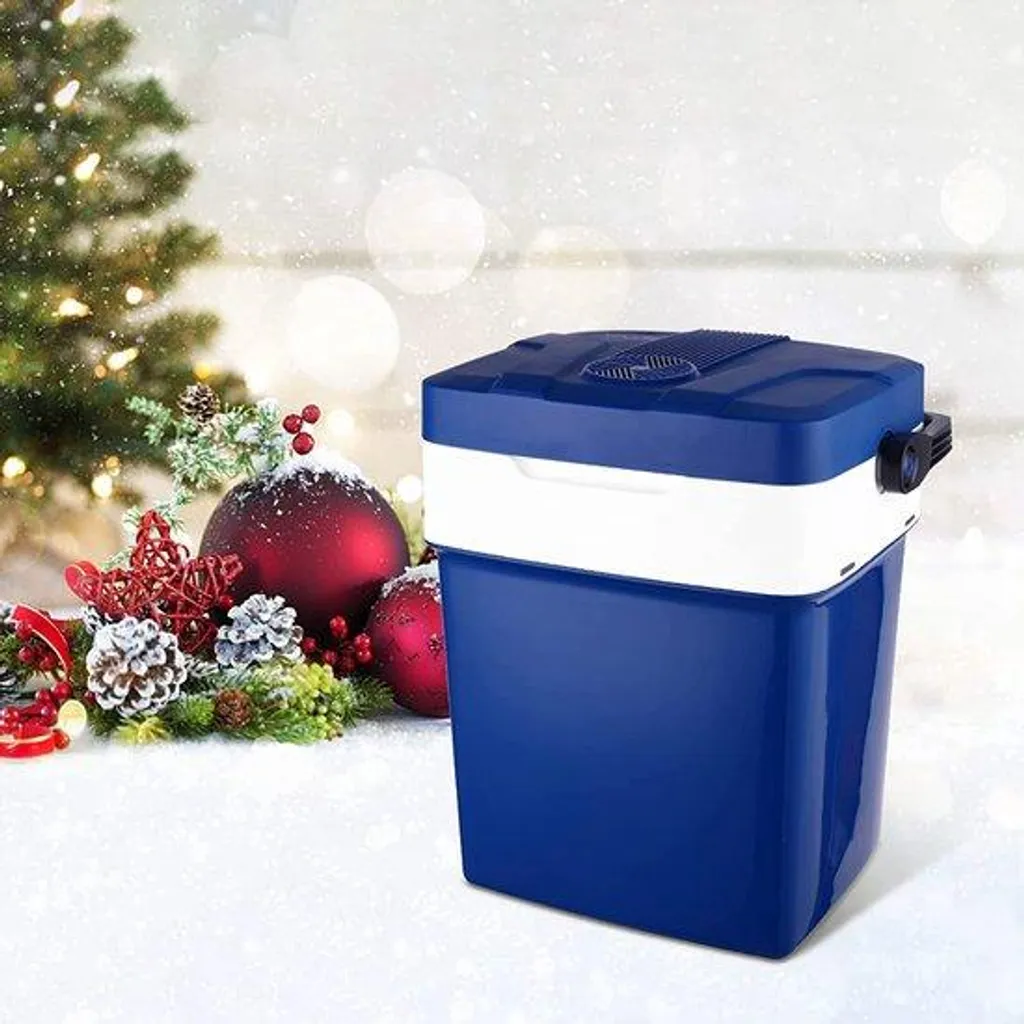Mini frigo voiture et voyage 12V - Réfrigérateur portable pour pique-nique