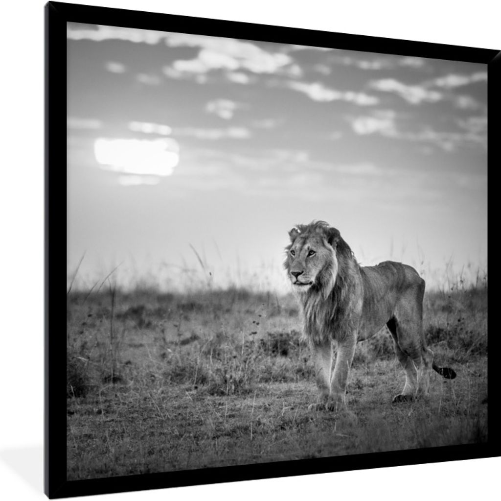 MuchoWow® Gerahmtes Poster Löwe - Sonnenuntergang - Jagd Produktbild 