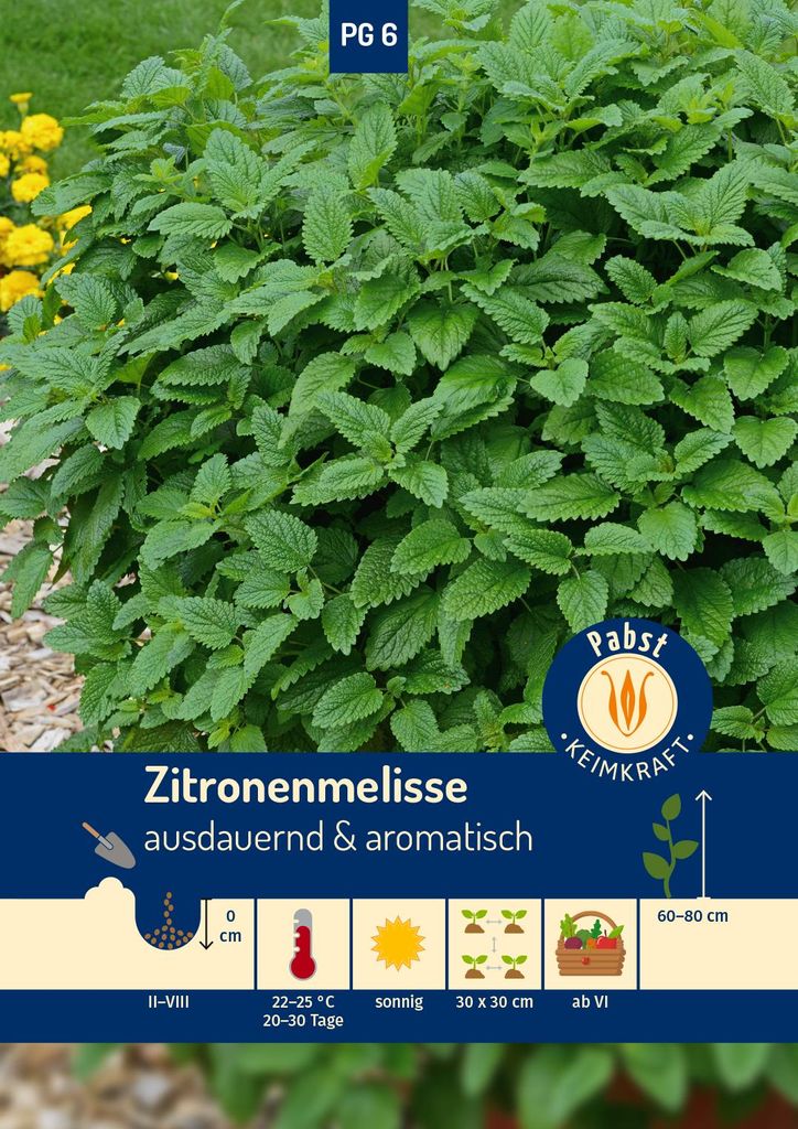 Artikelbild 1 von 'Zitronenmelisse Mehrjährig' aus der Kategorie Melissensamen