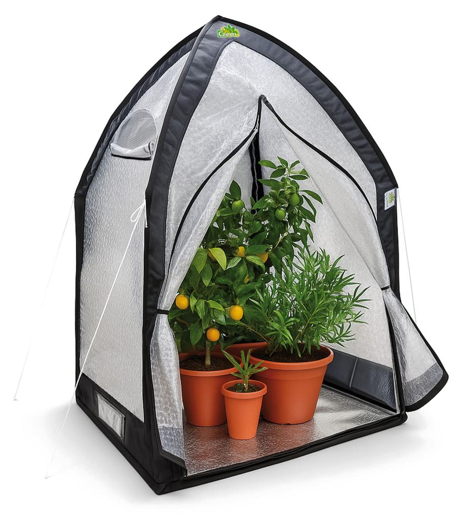 BioGreen Überwinterungszelt "ICEDOME ThermoPLUS Deluxe" L Produktbild 