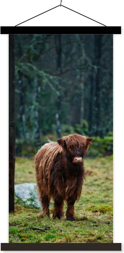 MuchoWow Textilposter Schottisches Hochlandrind - Wald - Moos 90x180 cm mit schwarzem Rahmen - Dekoration Wohnzimmer