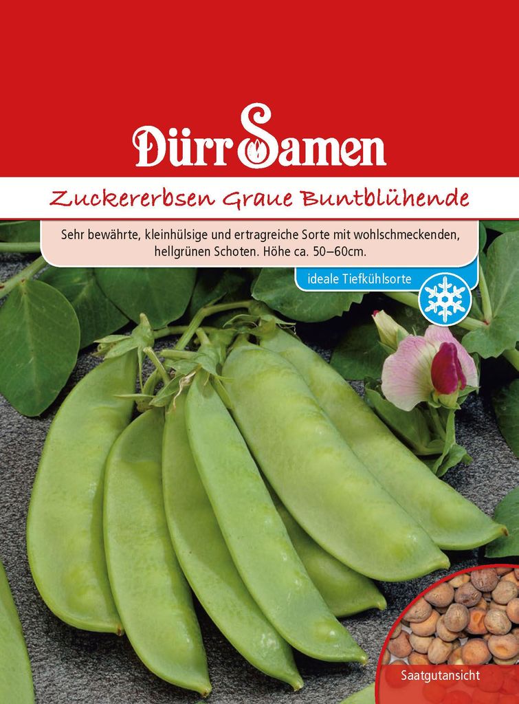 Dürr-Samen - Zuckererbsen Graue Buntblühende - Saatgut - Produktbild 