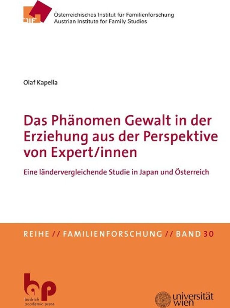 Das Phänomen Gewalt in der Erziehung aus der Perspektive von Expert/innen