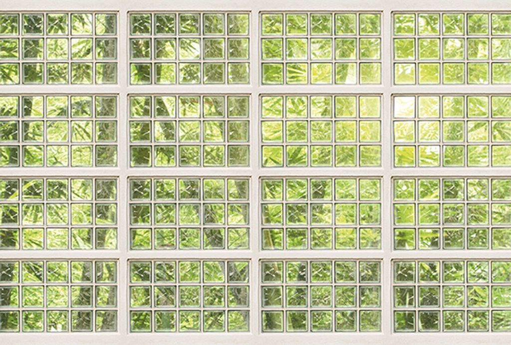 Tadessi Fototapete | Fenster | 4.00 m x 2.70 m | Grün | Weiß | Wandbild | Digitaldruck