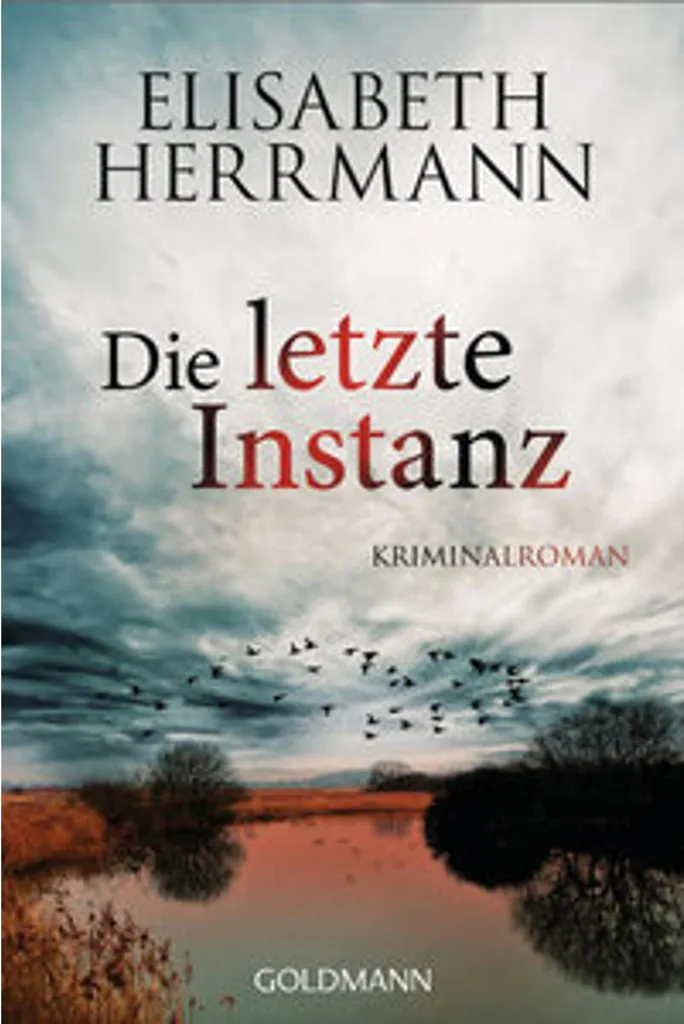 Die letzte Instanz livre allemand suspense contre l'ennui