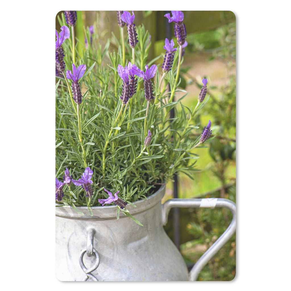 MuchoWow Mauspad Mousepad Lavendel in einem Milchkännchen 40x60 cm - Mousepads - Maus Mat - Pad - Mausunterlage - Schreibtisch Accesoire