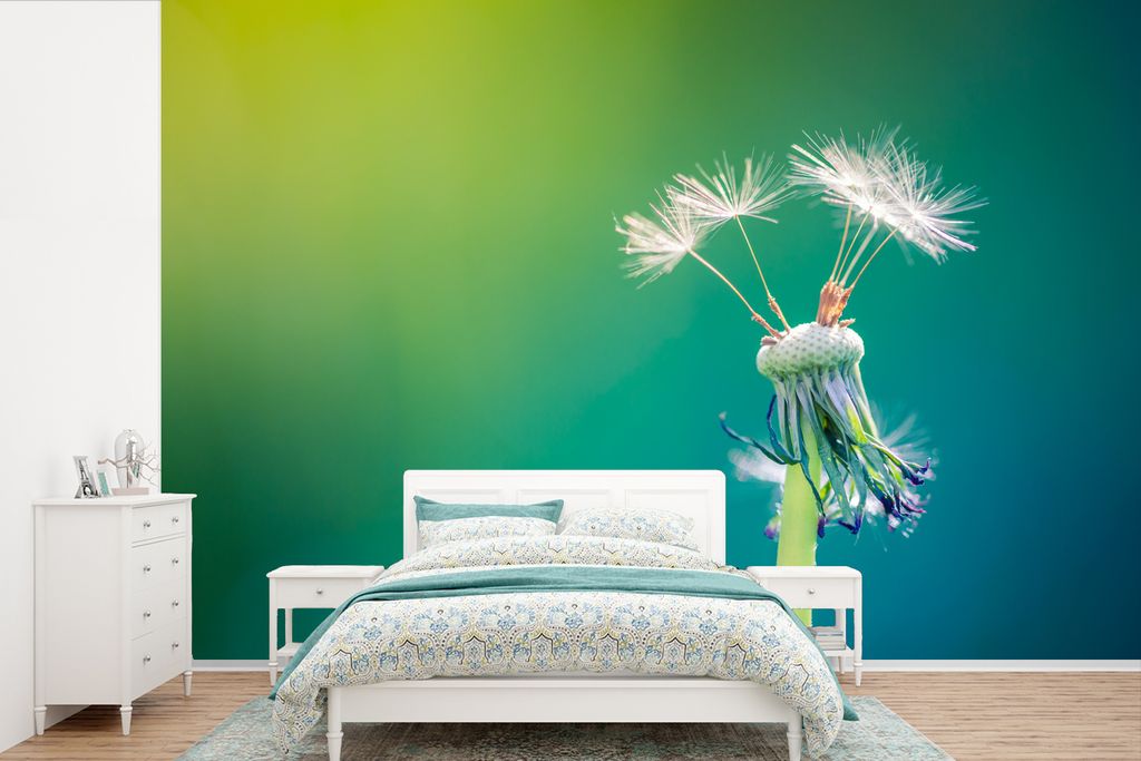 MuchoWow Fototapete für Wohnzimmer oder Schlafzimmer Wandtapete Vinyl Motivtapete Löwenzahn mit ein paar Samen - 600x400 cm - Vinyltapeten