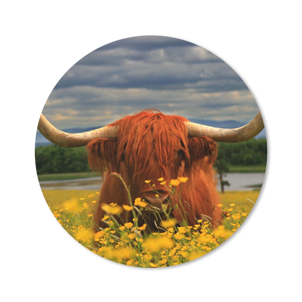 MuchoWow Mauspad Mousepad Schottischer Highlander - Tiere - Blumen 50x50 cm - Mousepads - Maus Mat - Pad - Mausunterlage - Vinyl