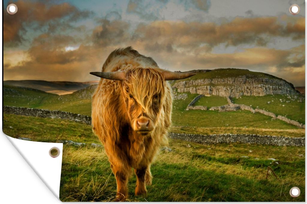 MuchoWow 60x40 cm Outdoor-Poster Gartendeko Sichtschutz Garten Poster für den Garten Schottischer Highlander - Gras - Berg