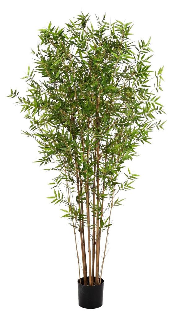 aplanta Künstlicher Bambus - Lucas | 210 cm, Echtholzstamm, für drinnen, Kunstbaum, wie echt, Allergiker geeignet, pflanzliche Dekoration Praxis,...