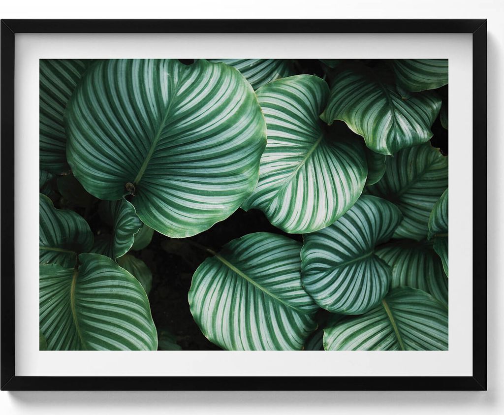 Große grüne Blätter– Wandbild mit Rahmen – Gerahmtes Bild – Wanddekoration – 80x60 cm – Schwarz Rahmen