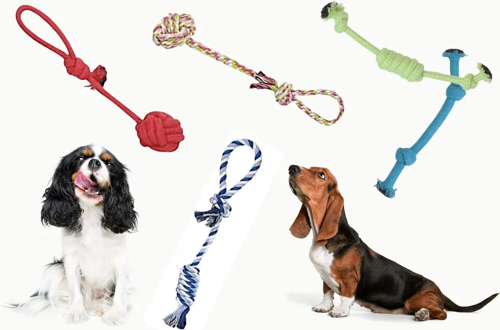 Jouet à Tirer Robuste pour Grand Chien : Pack de 5 Jeux en Coton