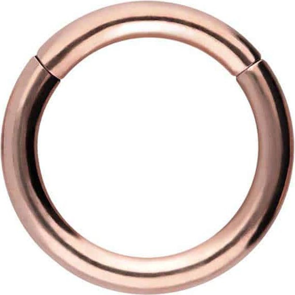Ohrpiercing, Nasenpiercing, Septum Piercing Chirurgenstahl Segmentring Clicker RoséGold Innendurchmesser: 9mm + Stabstärke: 1,6mm