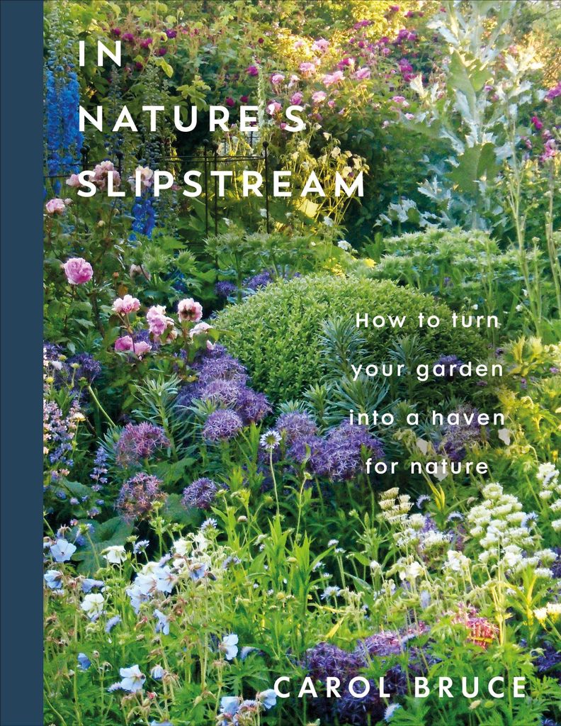 In Nature's Slipstream Produktbild 