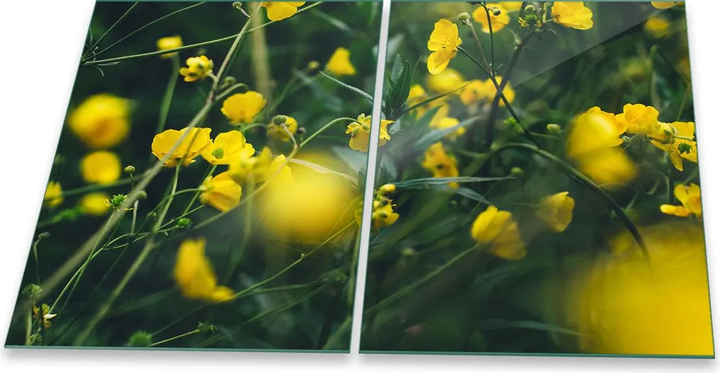 Set 2 Copri Fornelli Induzione in Vetro 40x52 - Fiori Gialli e Primavera