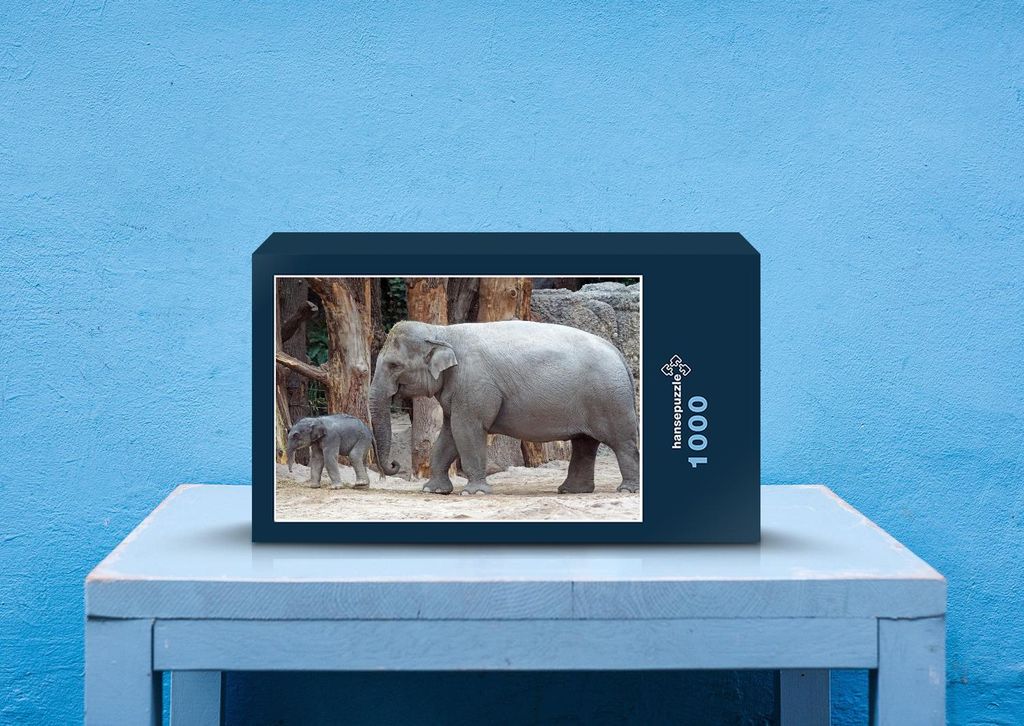 hansepuzzle 21225 - Elefant Puzzle, 1000 Teile, Tierwelt, 60,0 x 46,0cm mit hochwertiger Aufbewahrung, Kartonbox und wiederverschließbarem Beutel