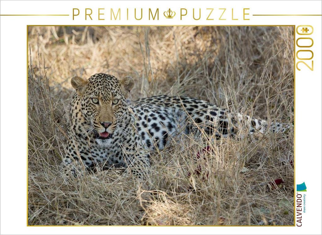 CALVENDO Puzzle Leopard 2000 Teile Puzzle quer | 2000 Teile Produktbild 