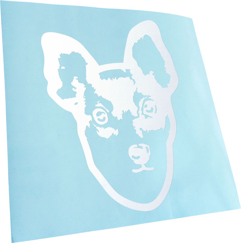 Kiwistar - Autoaufkleber - Toy Fox Terrier Hund - Gold - 24x17cm - Aufkleber für Auto, Laptop, Fahrrad, LKW, Motorrad Mehrfarbig JDM Decal Racing