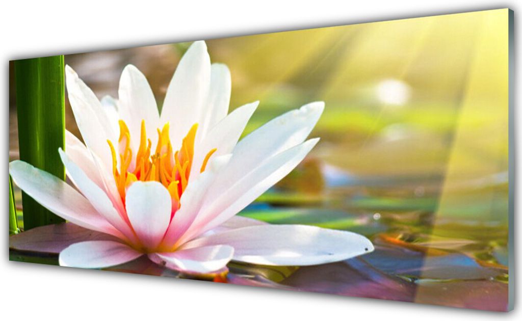 Küchenrückwand aus Glas 125x50cm Spritzschutz Blumen Pflanzen